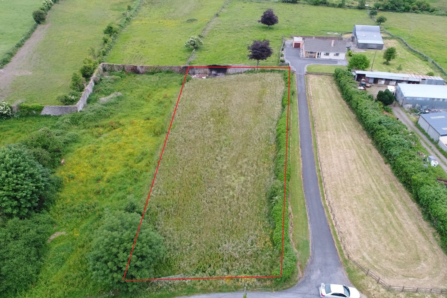 Rindifin, Gort, Co. Galway