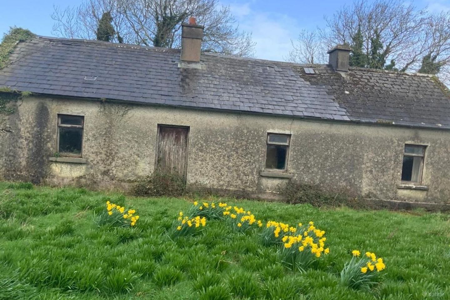 Mulderricksfield, Askeaton, Foynes, Co. Limerick, V94W3P8