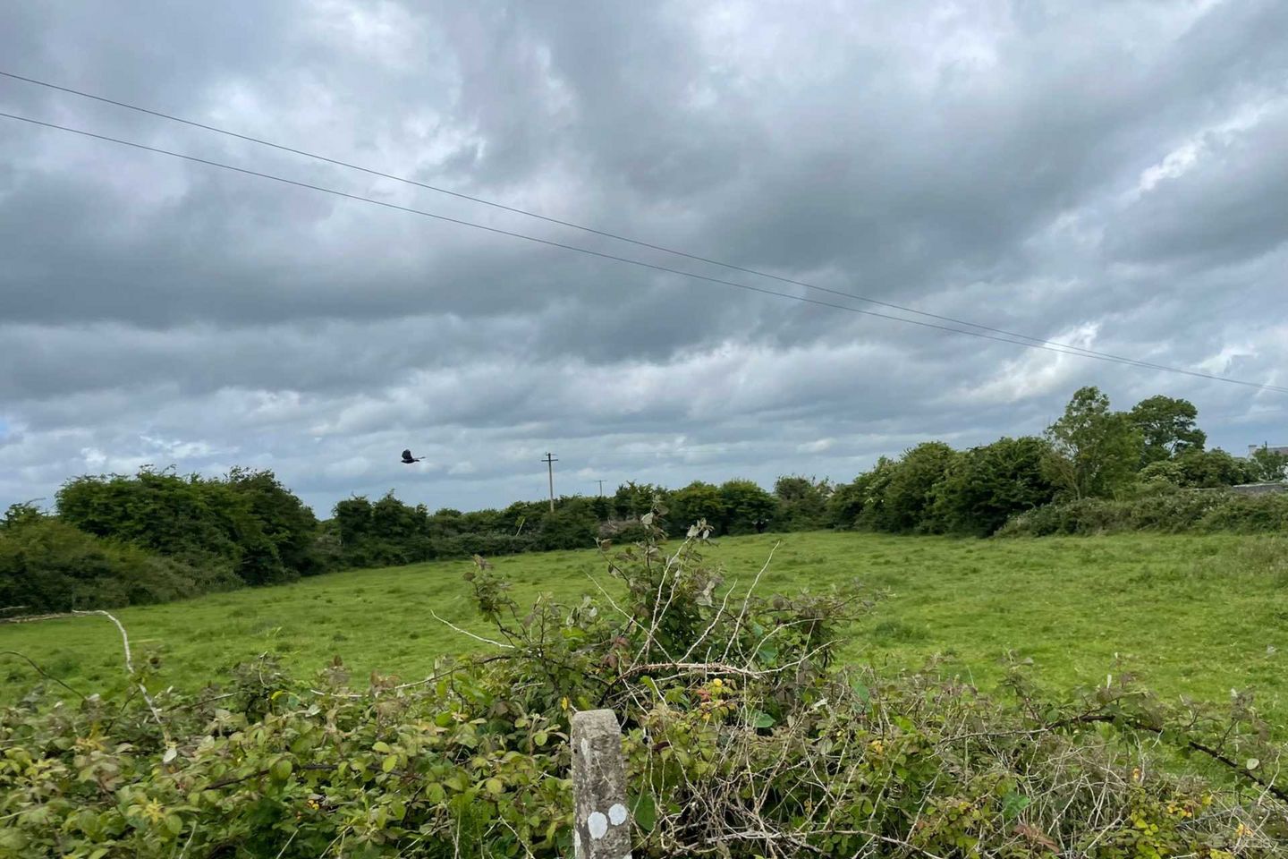 Cahernablaghy, Kilmaine, Ballinrobe, Co. Mayo