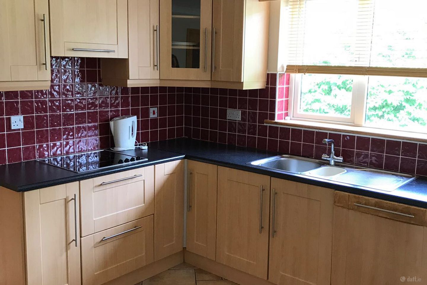 Bluebell Woods, Oranmore, Co. Galway