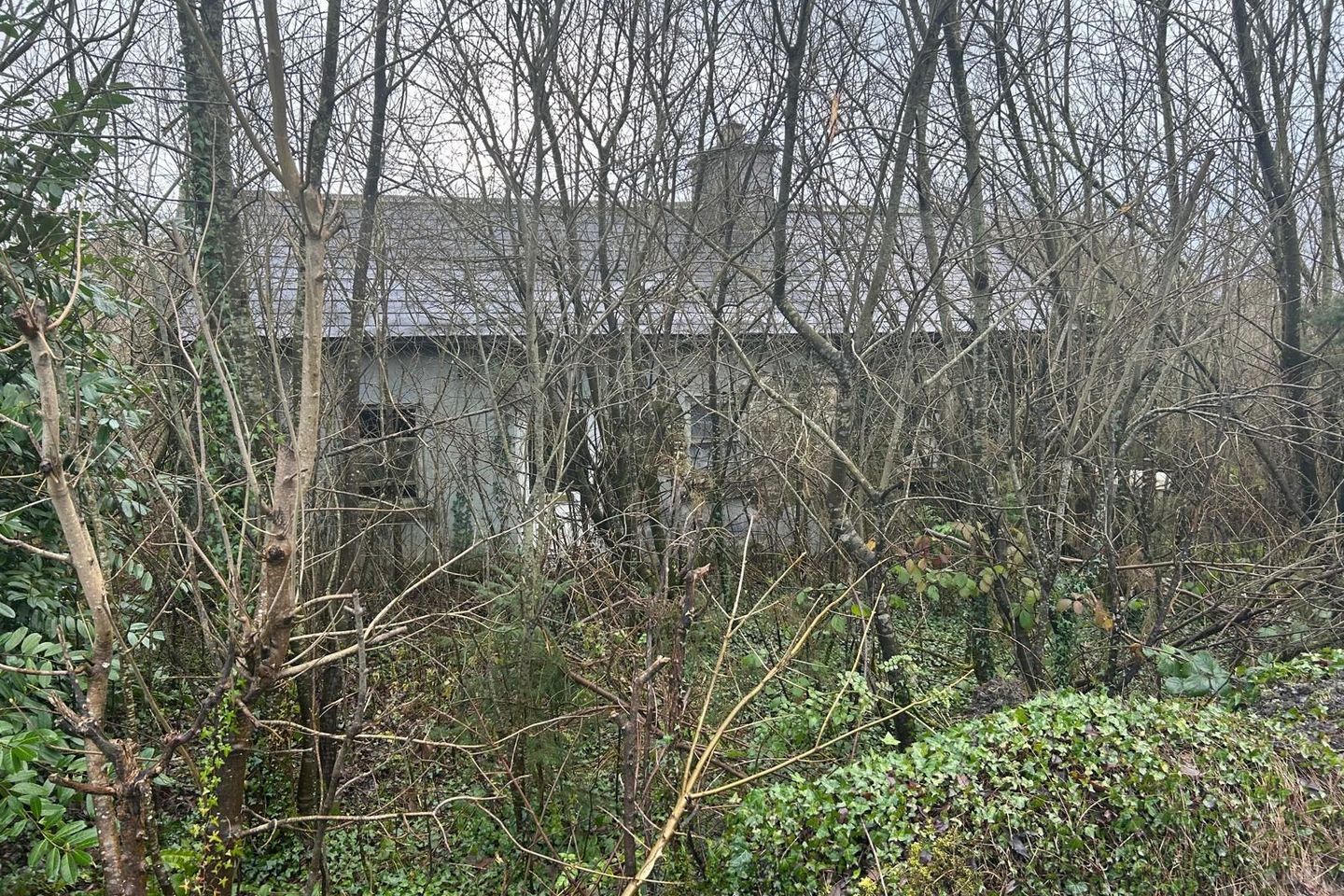 Clonbannin East, Derrinagree, Mallow, Co. Cork, P51A9XP