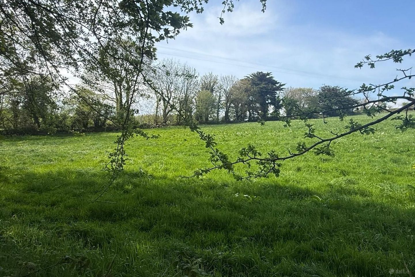 Old Park, Bandon, Bandon,, Co. Cork