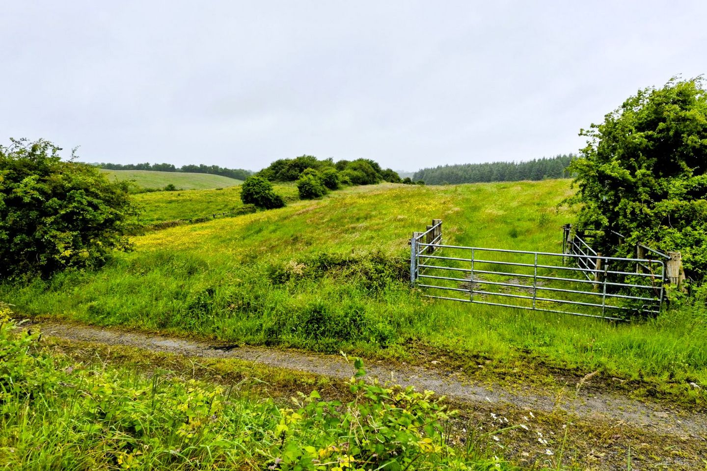 Liscottle, Swinford, Co. Mayo