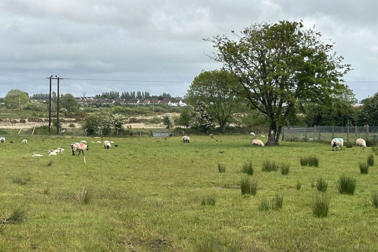 Cloonfush, Tuam, Co. Galway
