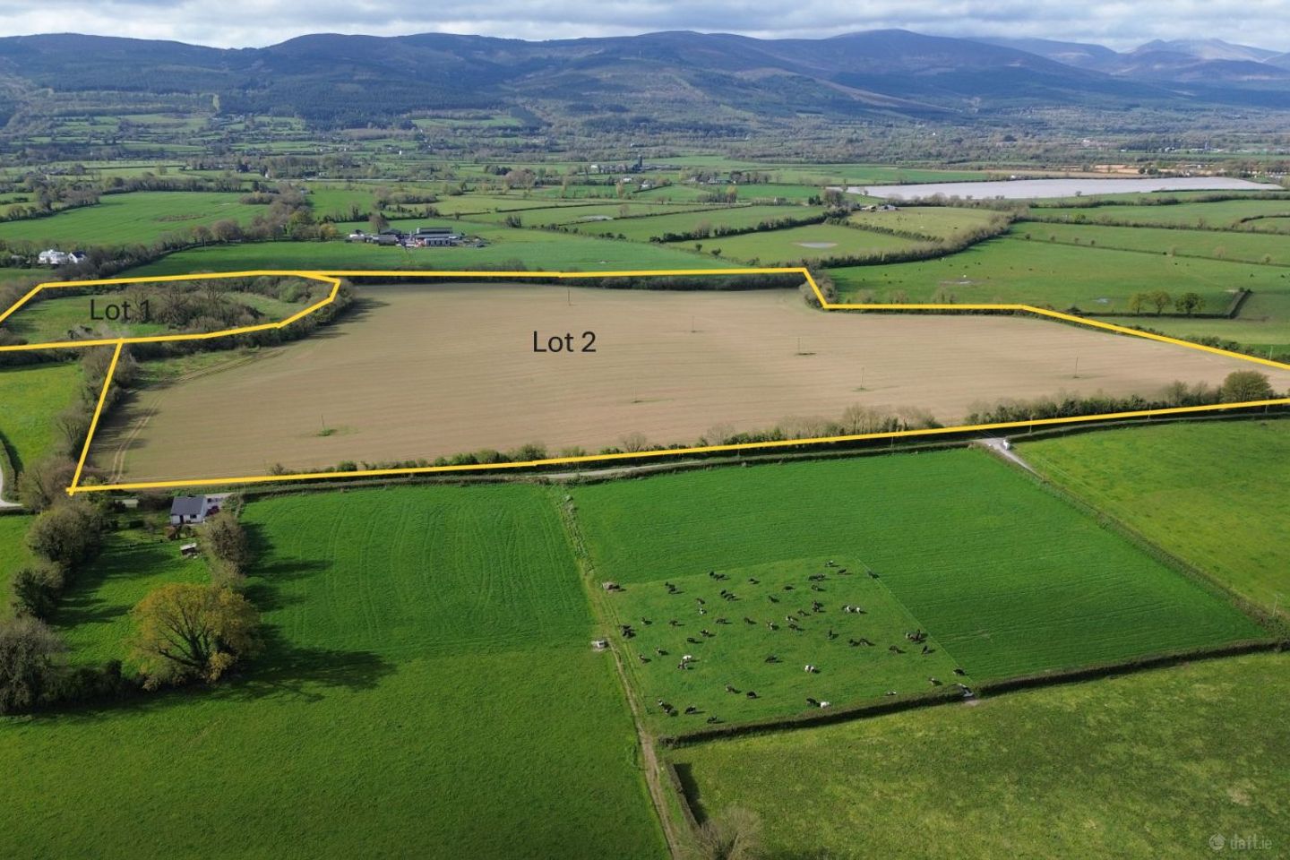 Currana, Golden, Co. Tipperary