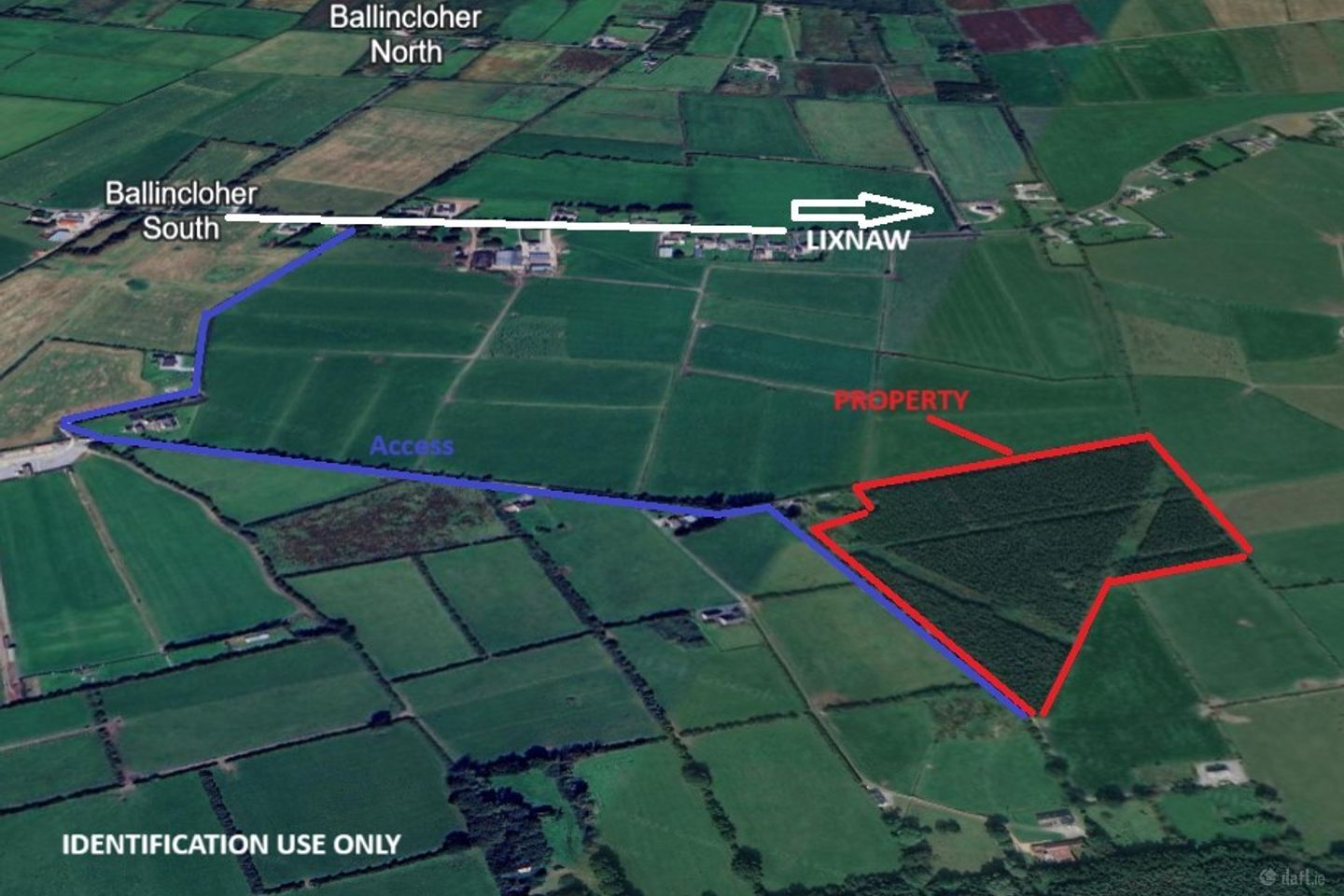 15 Acres/6.1 Ha Forestry Plantation at Gortadrislig, Lixnaw, Co. Kerry