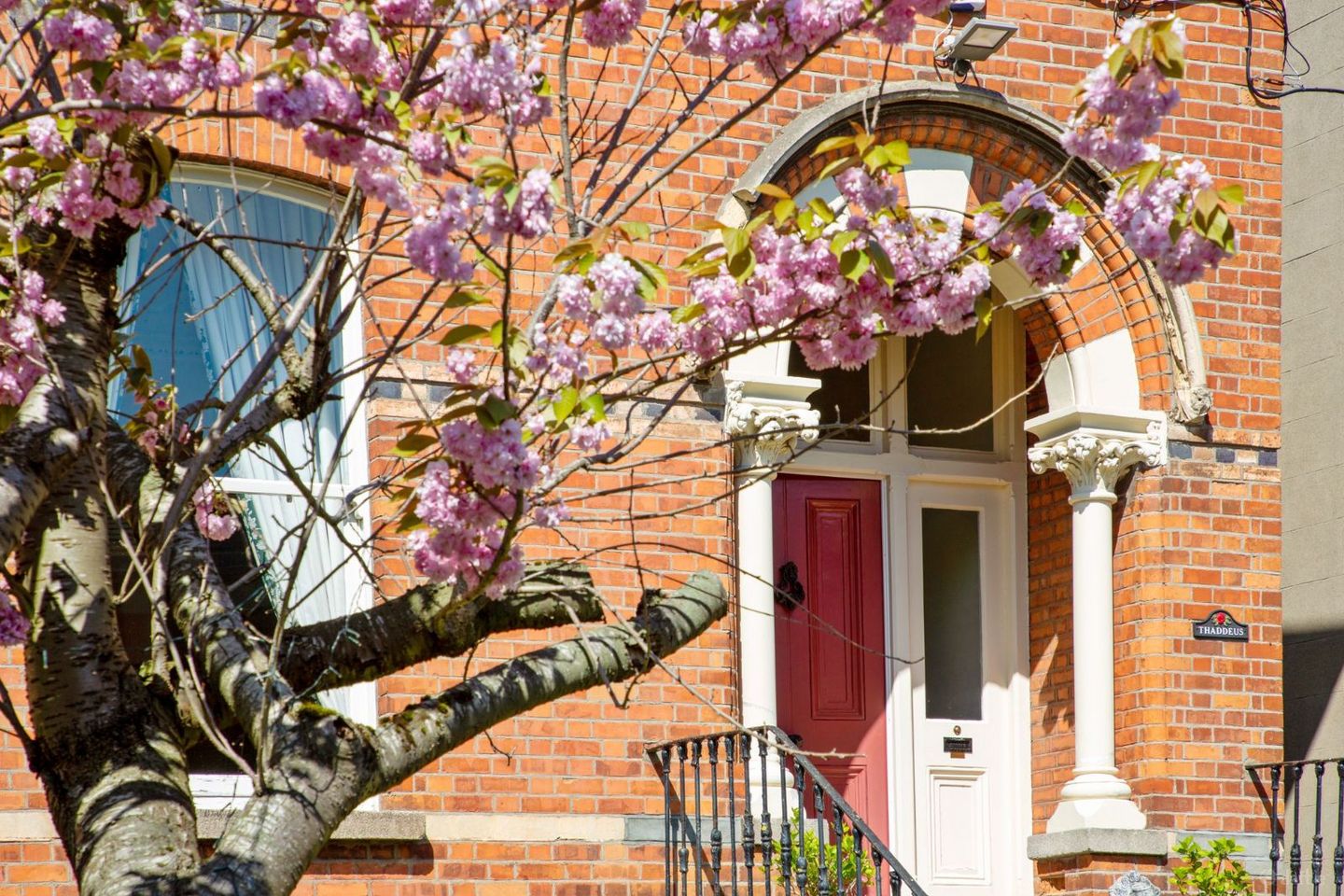 19 Northbrook Road, Dublin 6, Ranelagh, Dublin 6, D06E367