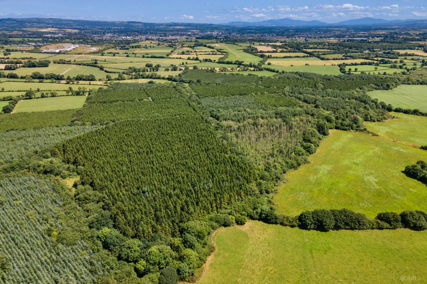 Lot 3 - Forestry At Newtown, Bonnettstown, Co. Kilkenny, Tullaroan, Co. Kilkenny