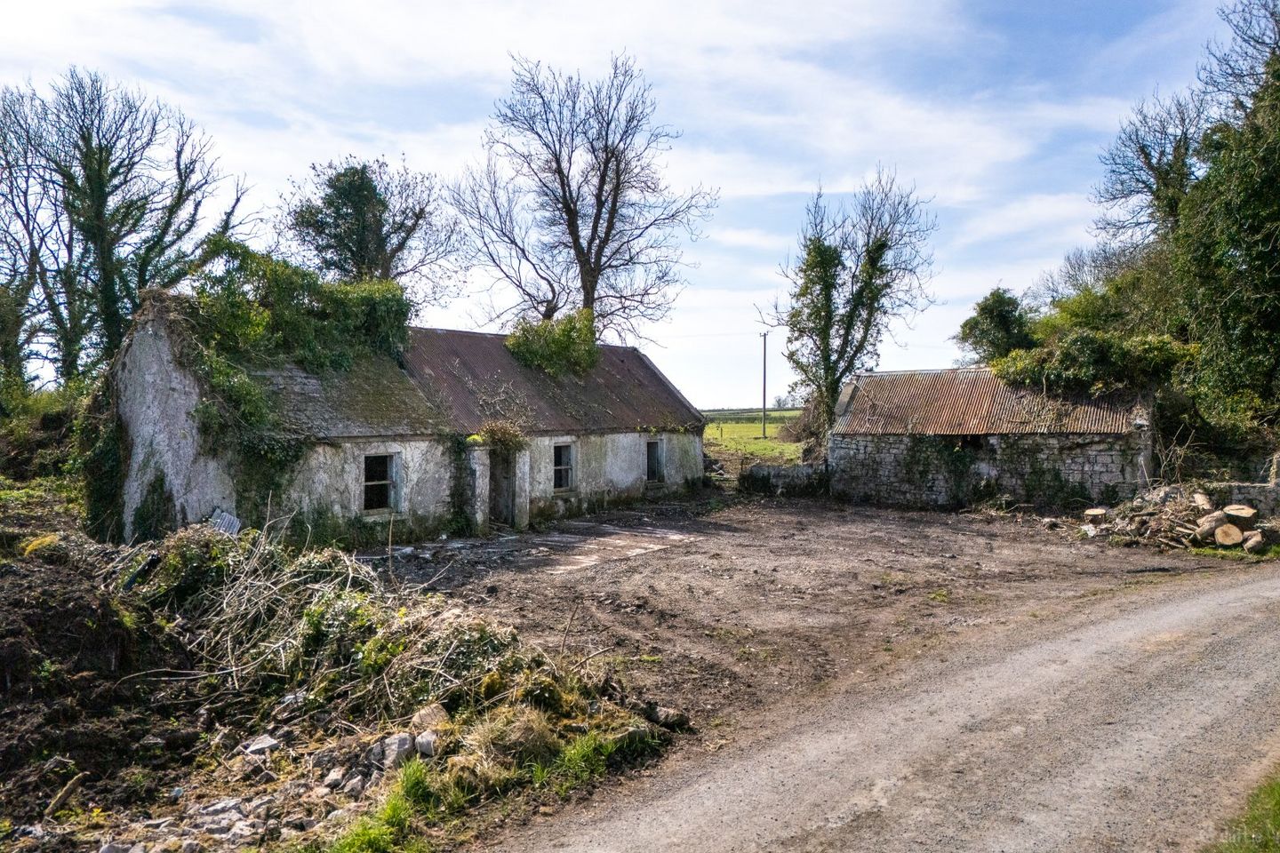 Corramagrine, Whitehall, Tarmonbarry, Co. Roscommon, N39XXXX