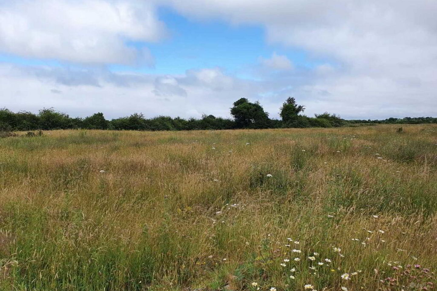 Morenane, Kilcornan, Askeaton, Co. Limerick