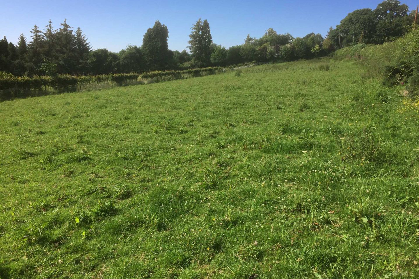 Rosbawn, Tinahely, Co. Wicklow