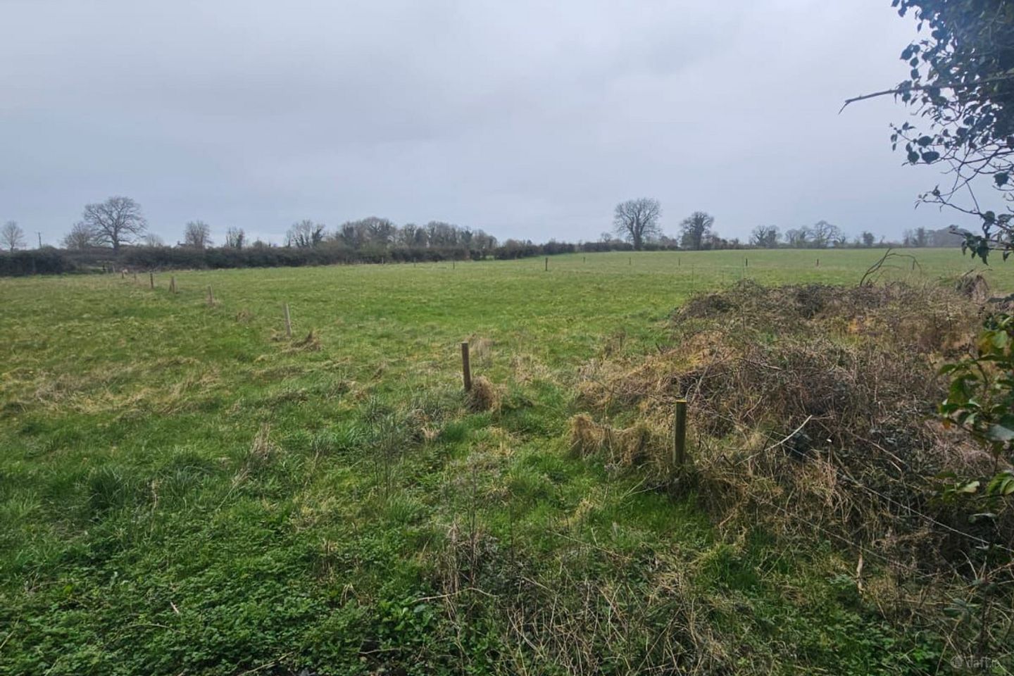 Lands at Russellstown, Kilmeage, Co. Kildare, W91XR3W