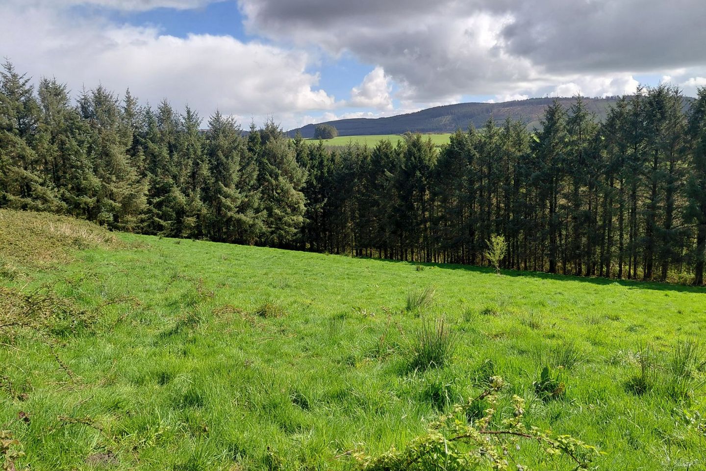 Croughmakeen, Doon, Doon, Co. Limerick