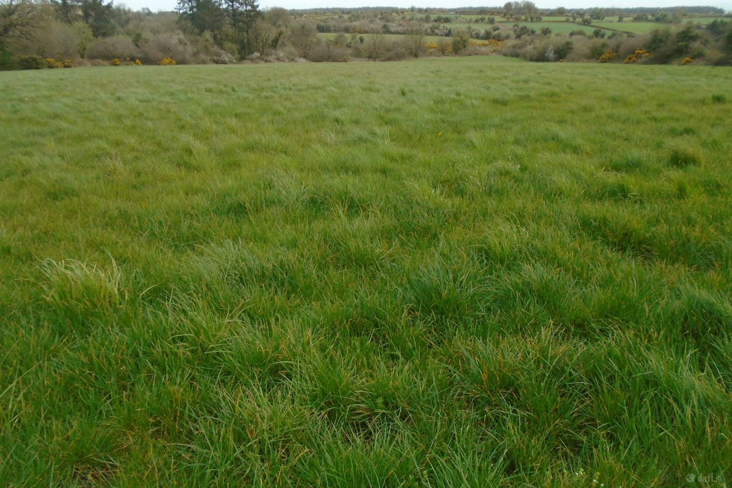 Boolyglass Hugginstown Co Kilkenny, Hugginstown, Co. Kilkenny