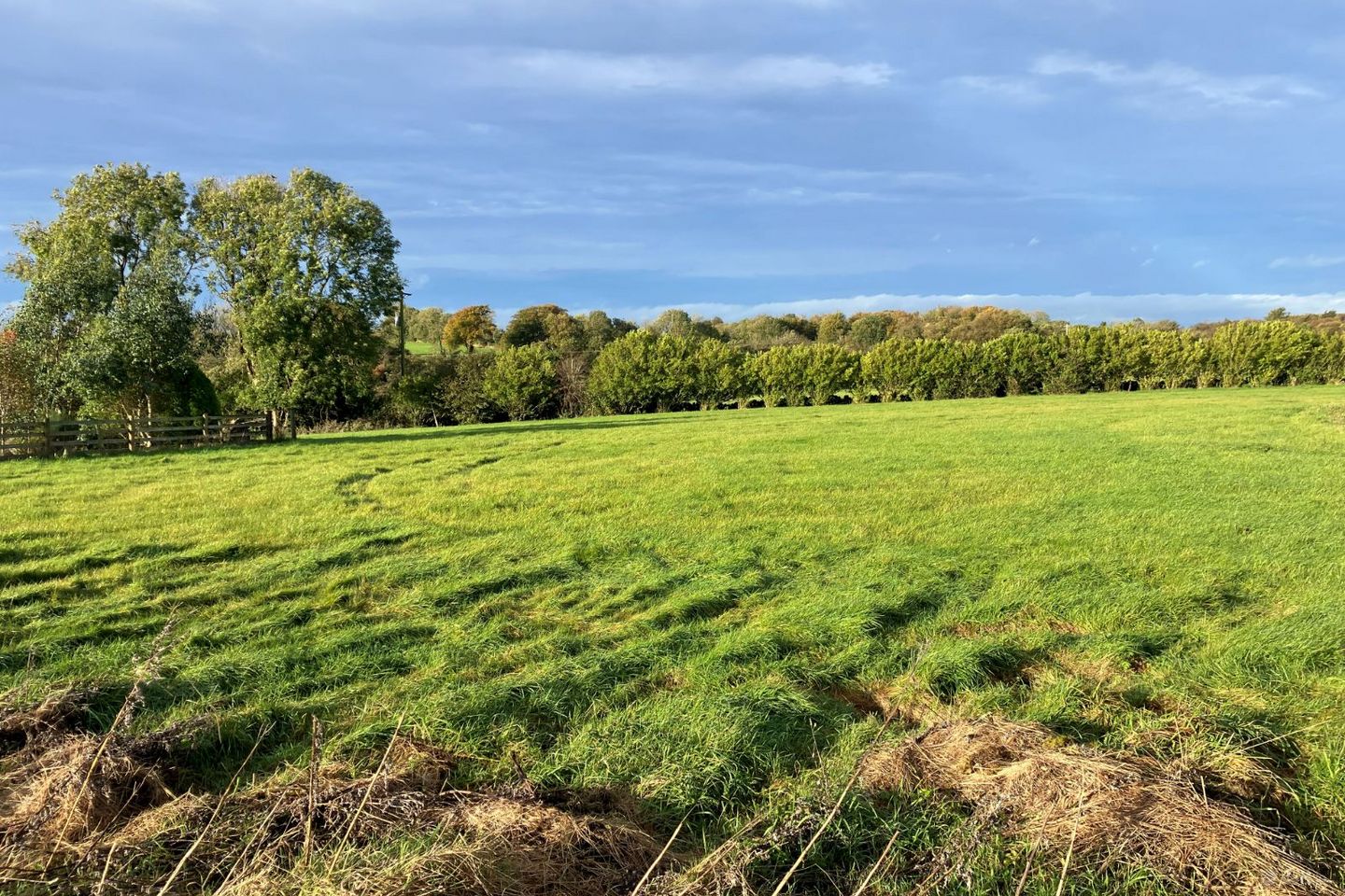 Woodquay, Tuam, Co. Galway