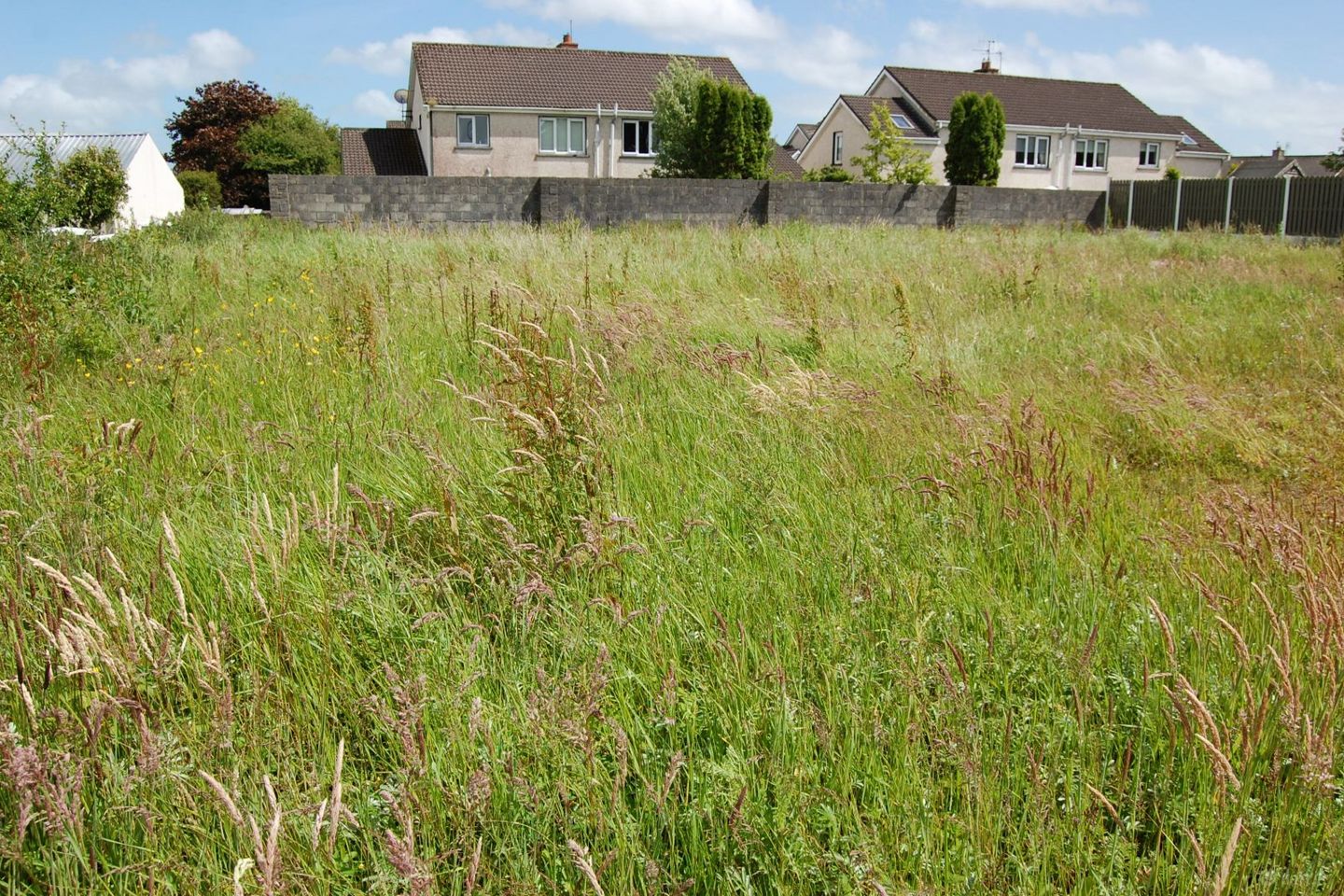 Rathaneane, Boherbue, Newcastle West, Co. Limerick