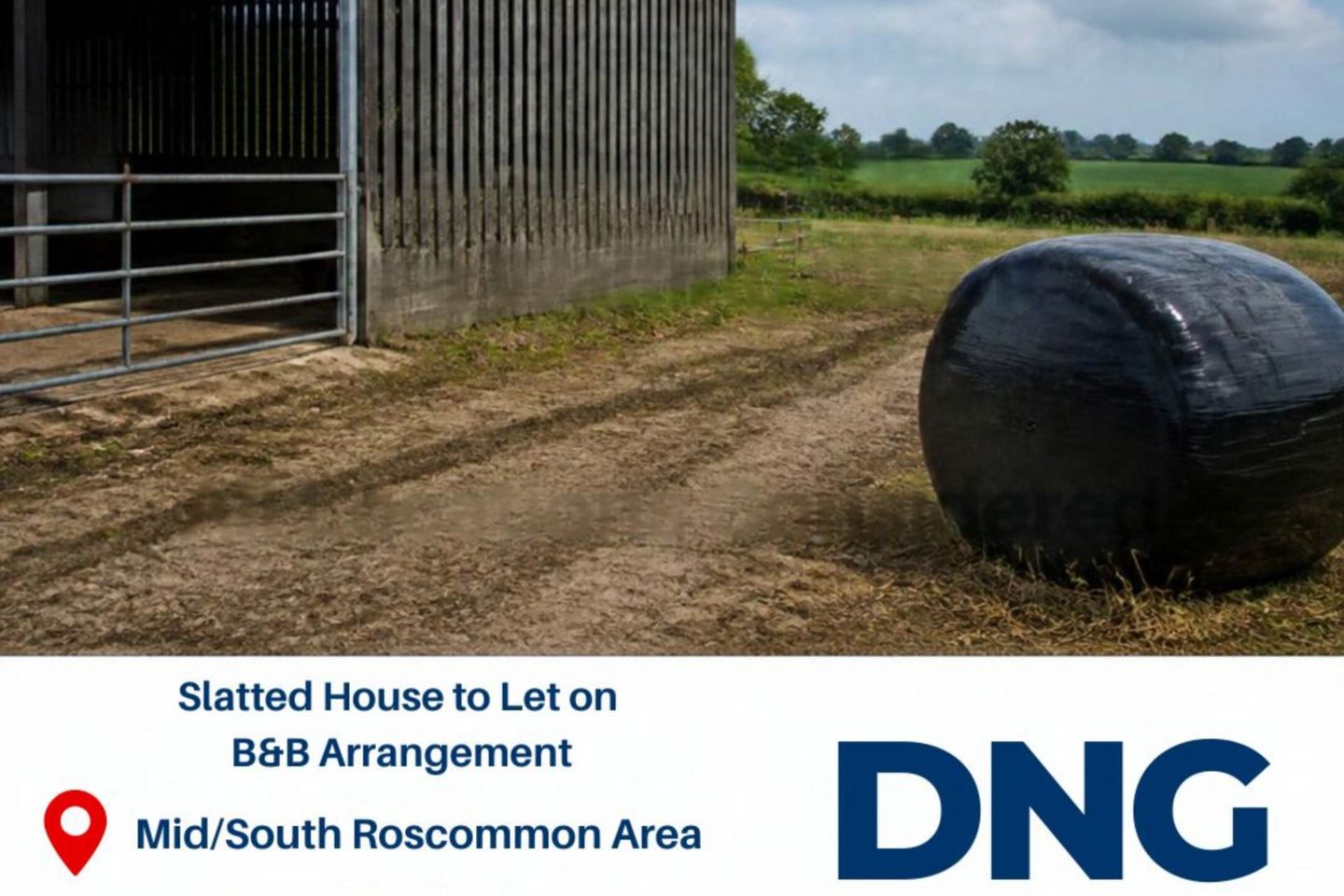Slatted House To Let On A B&B Arrangement, Roscommon, Co. Roscommon
