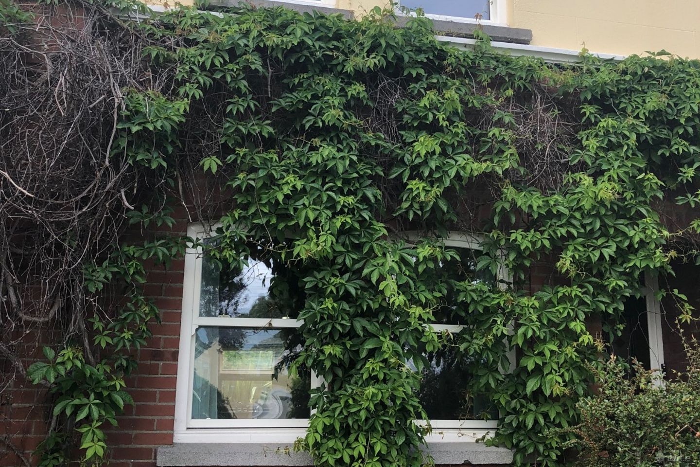 Albert  Road Lower,Glenageary,Co. Dublin, Sandycove, Co. Dublin