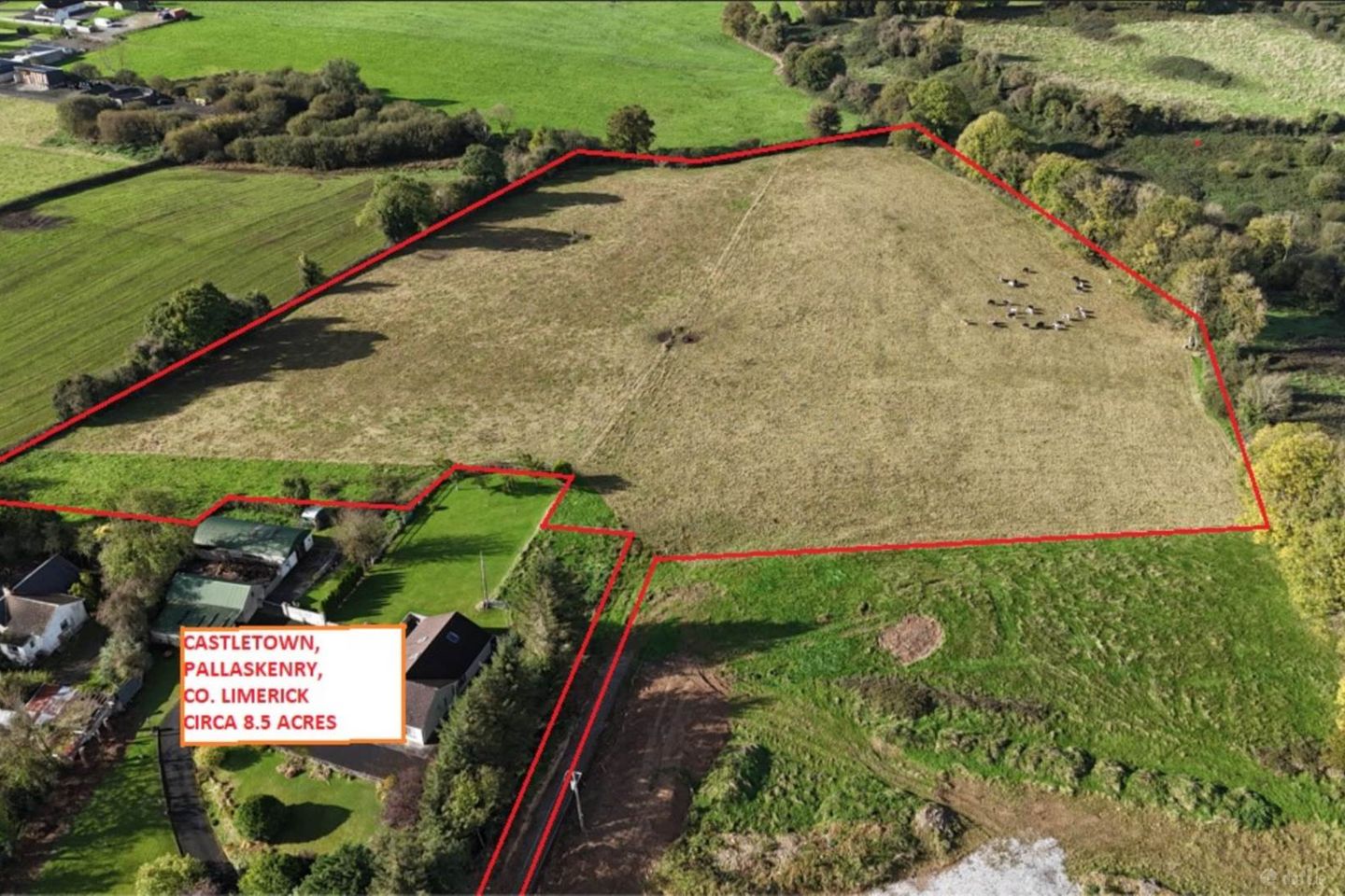 Castletown, Pallaskenry, Co. Limerick