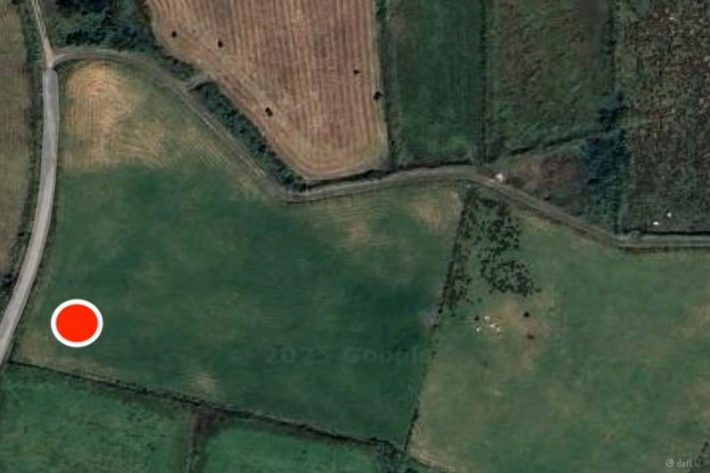 Roy, Doohoma, Co. Mayo