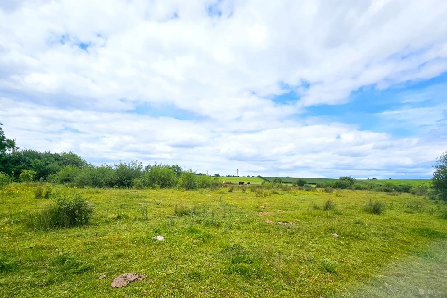 Townparks, Ardee, Ardee, Co. Louth