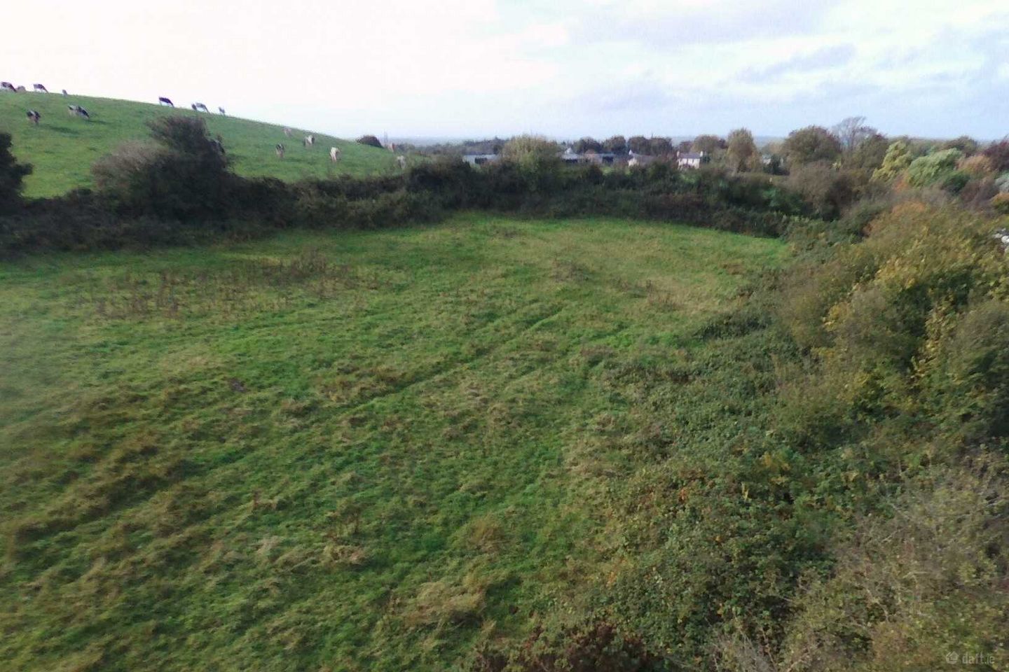 Creggaun, Knockanean, Ennis, Co. Clare