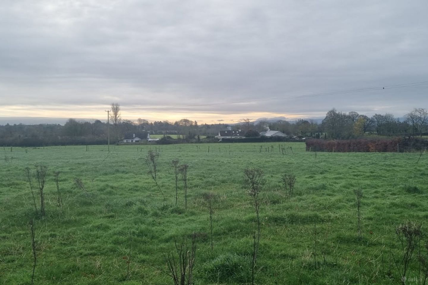 1 x 3.5 acres Sites SPP, Palatine, Co. Carlow, R93N7D2
