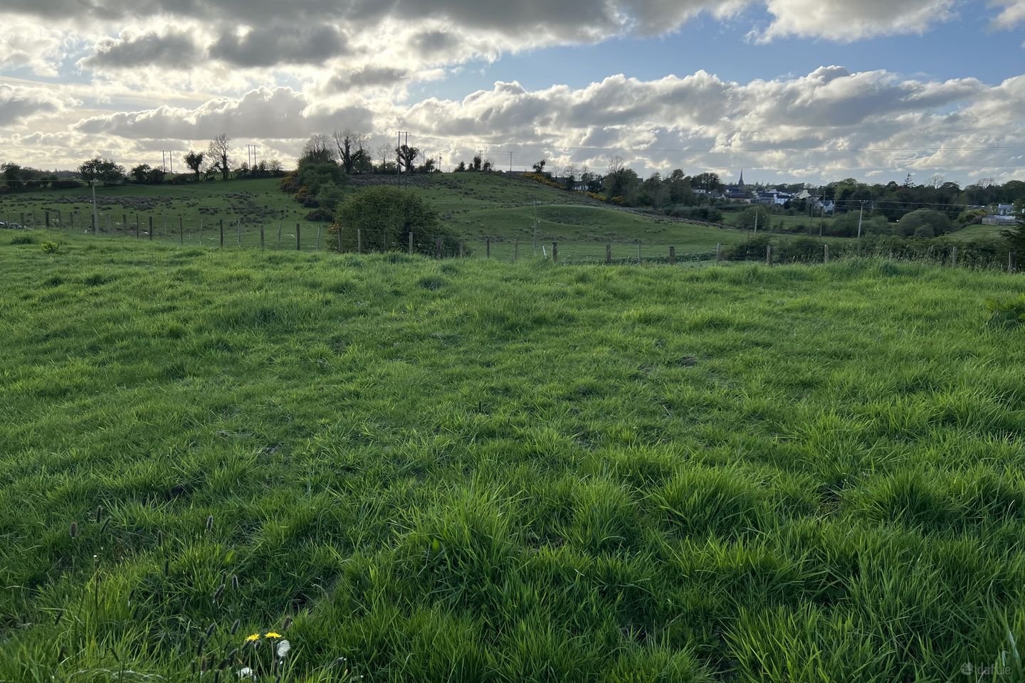 Devlis, Ballyhaunis, Co. Mayo