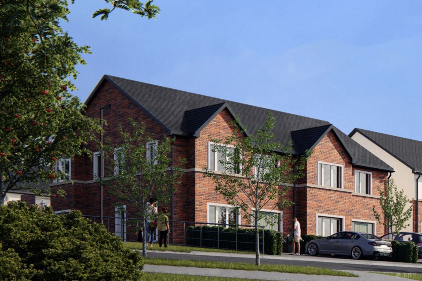 Alder, Millview Demesne, Rathangan, Co. Kildare