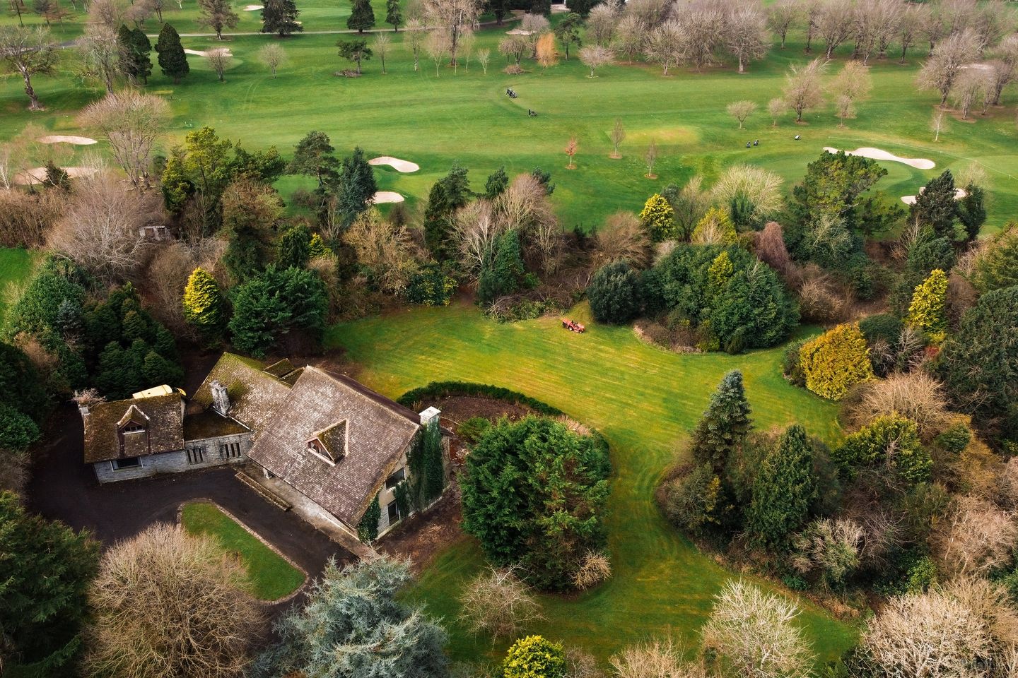 Crooked Stick, Ballyclough, Ballyclough, Co. Limerick, V94N2KP