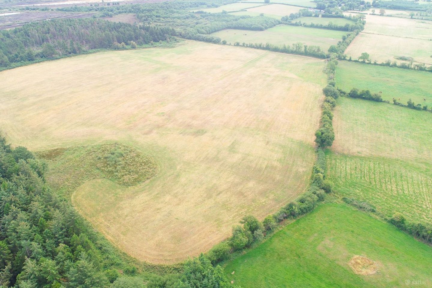 Lurgoe, Killenaule, Co. Tipperary