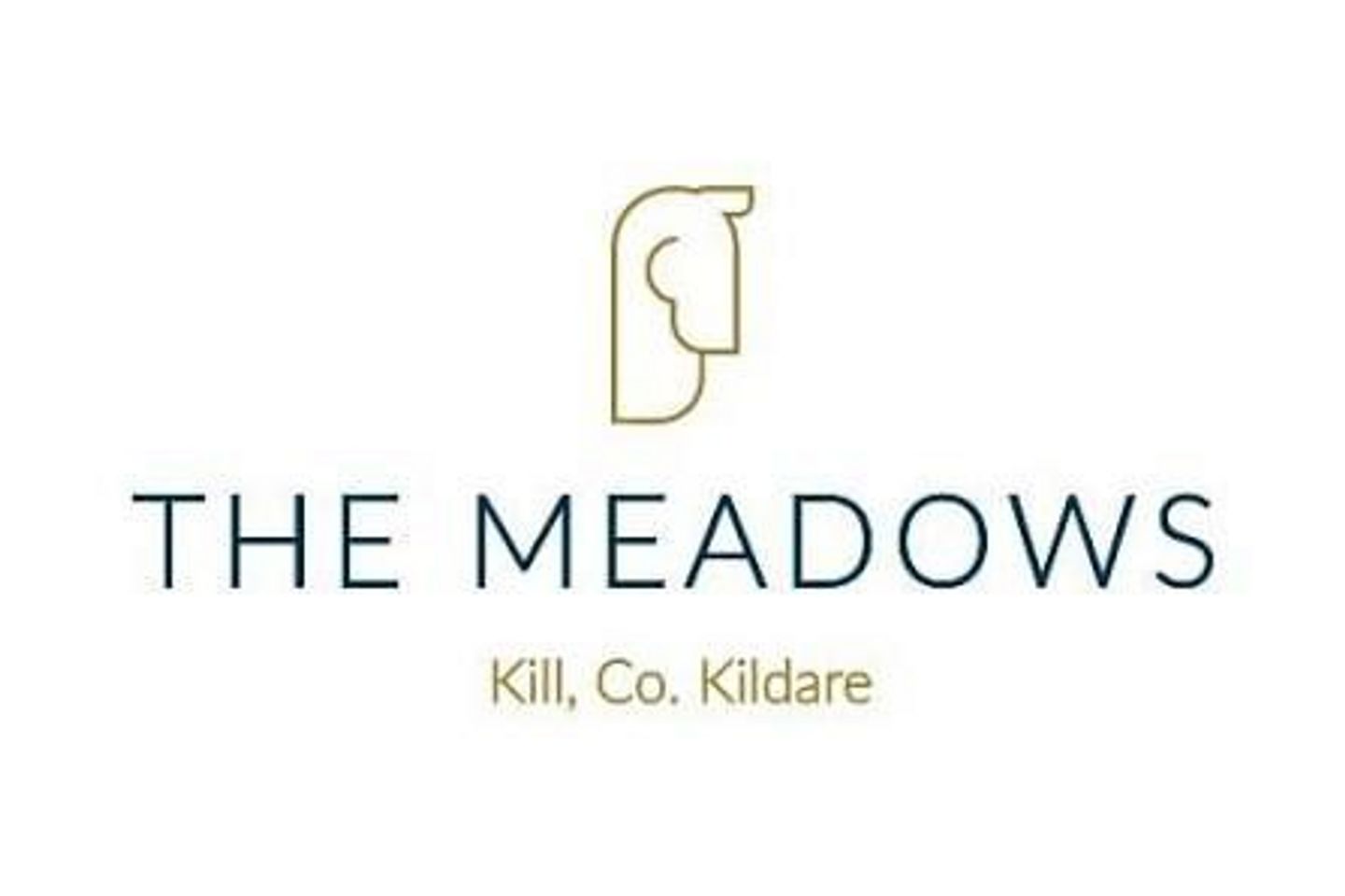6 Newtown Walk, The Meadows, Kill, Kill, Co. Kildare