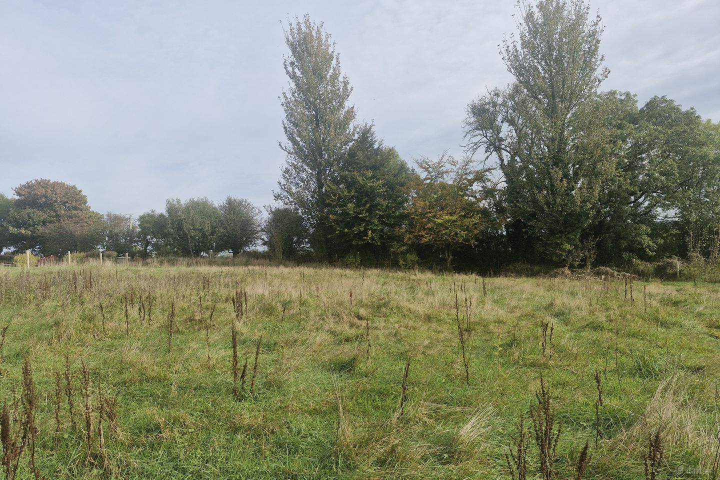 Inchacarran, Buckstown, Mullinavat, Co. Kilkenny