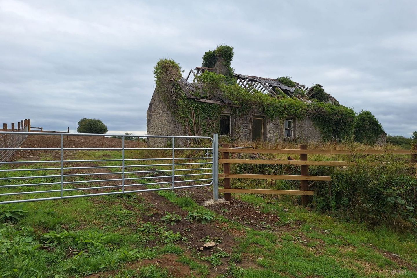 Knockakil Mayo Abbey , Claremorris, Co. Mayo