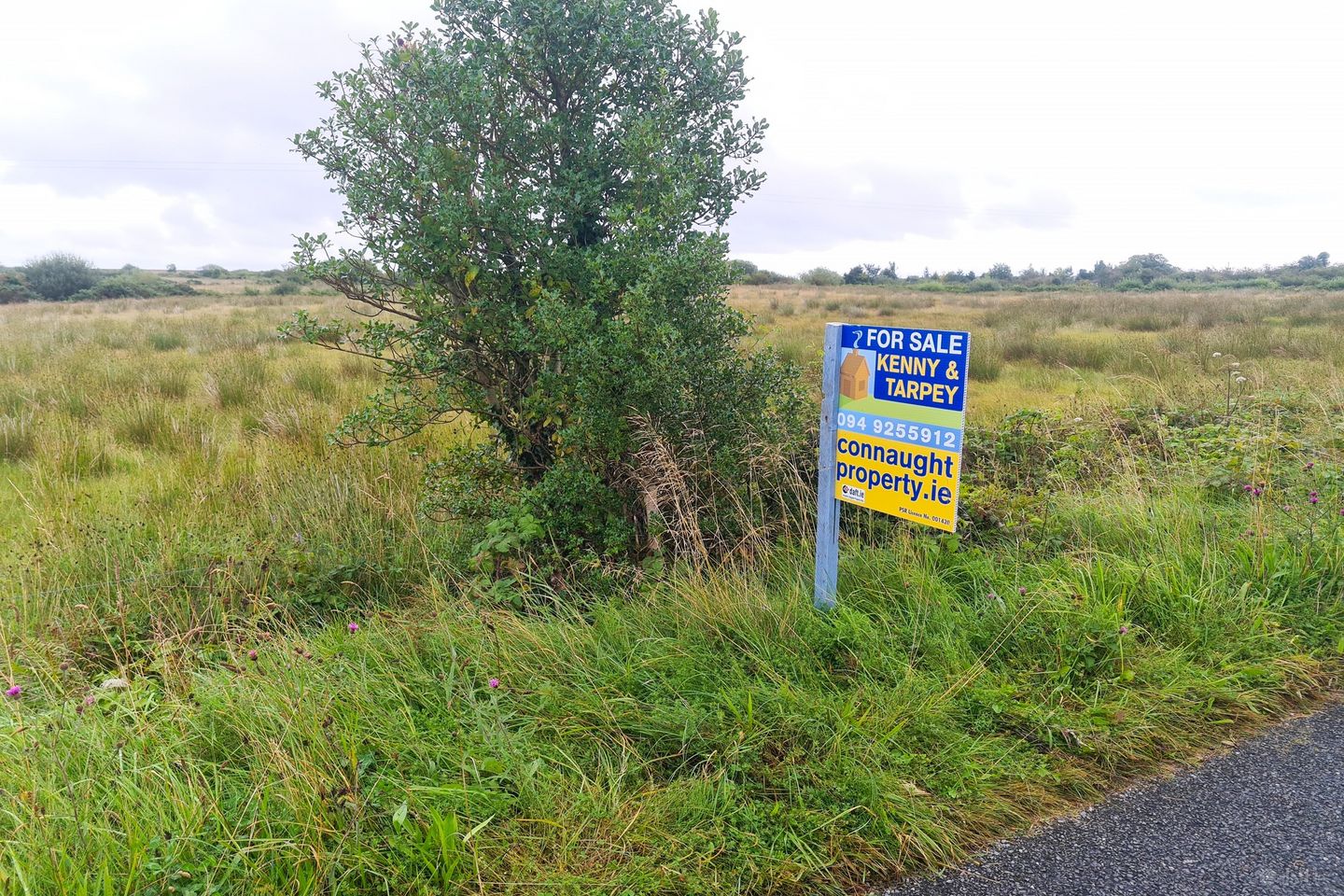 Srah Upper, Carracastle, Co. Mayo