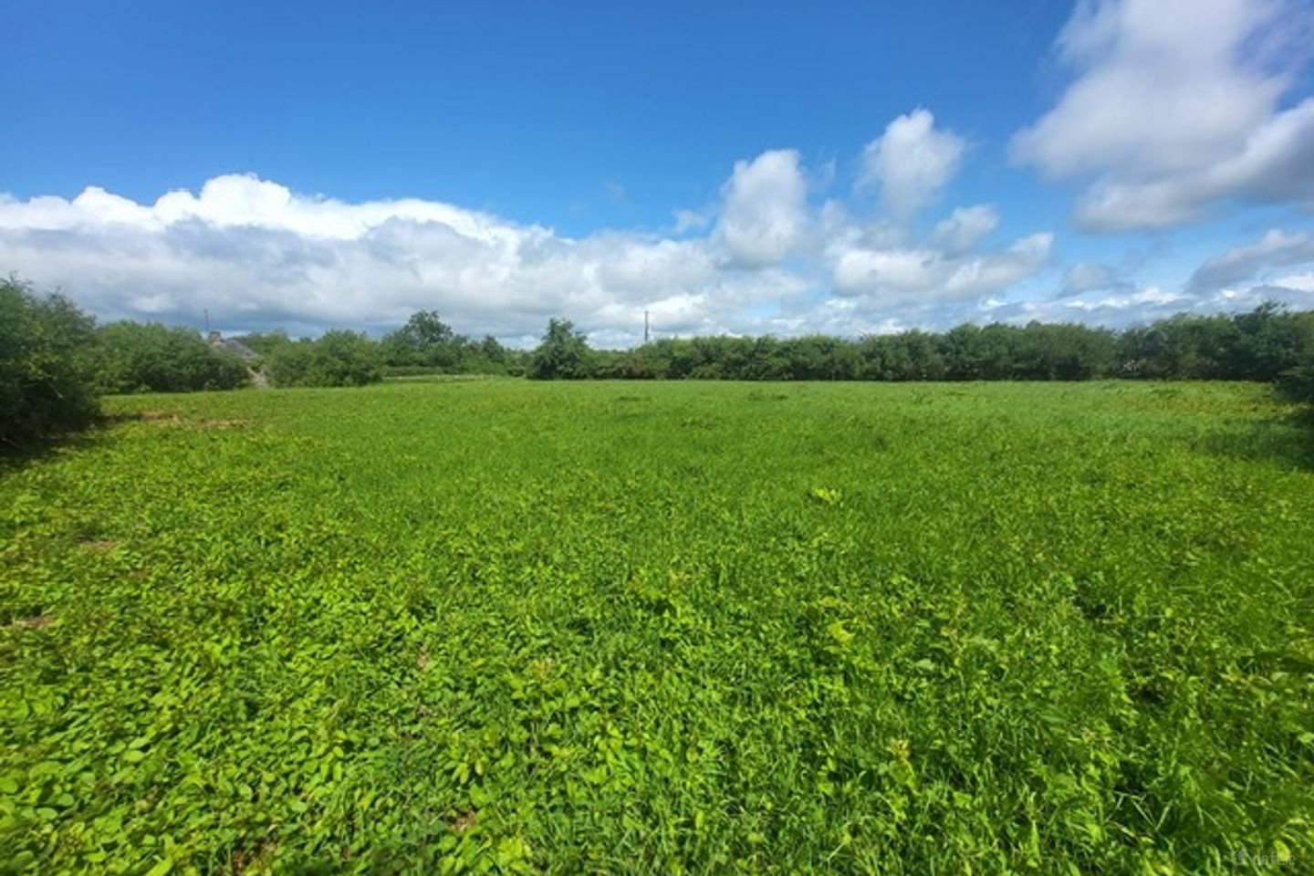 Loughbeg, Dunnamaggan, Co. Kilkenny