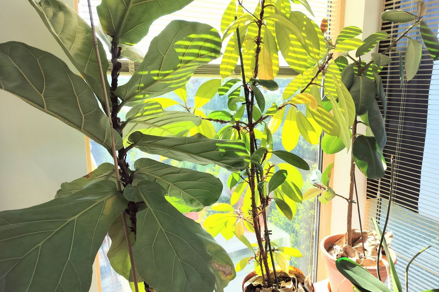 Clancy Quay, Islandbridge, Dublin 8