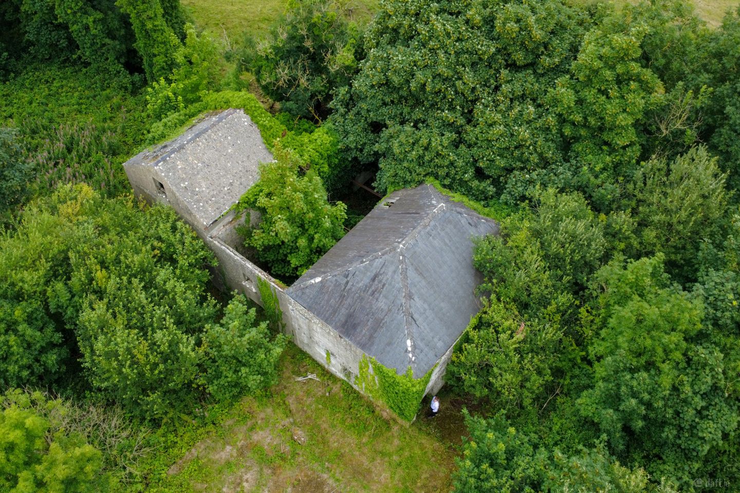 The Old Mill, Forgney, Ballymahon, Co. Longford