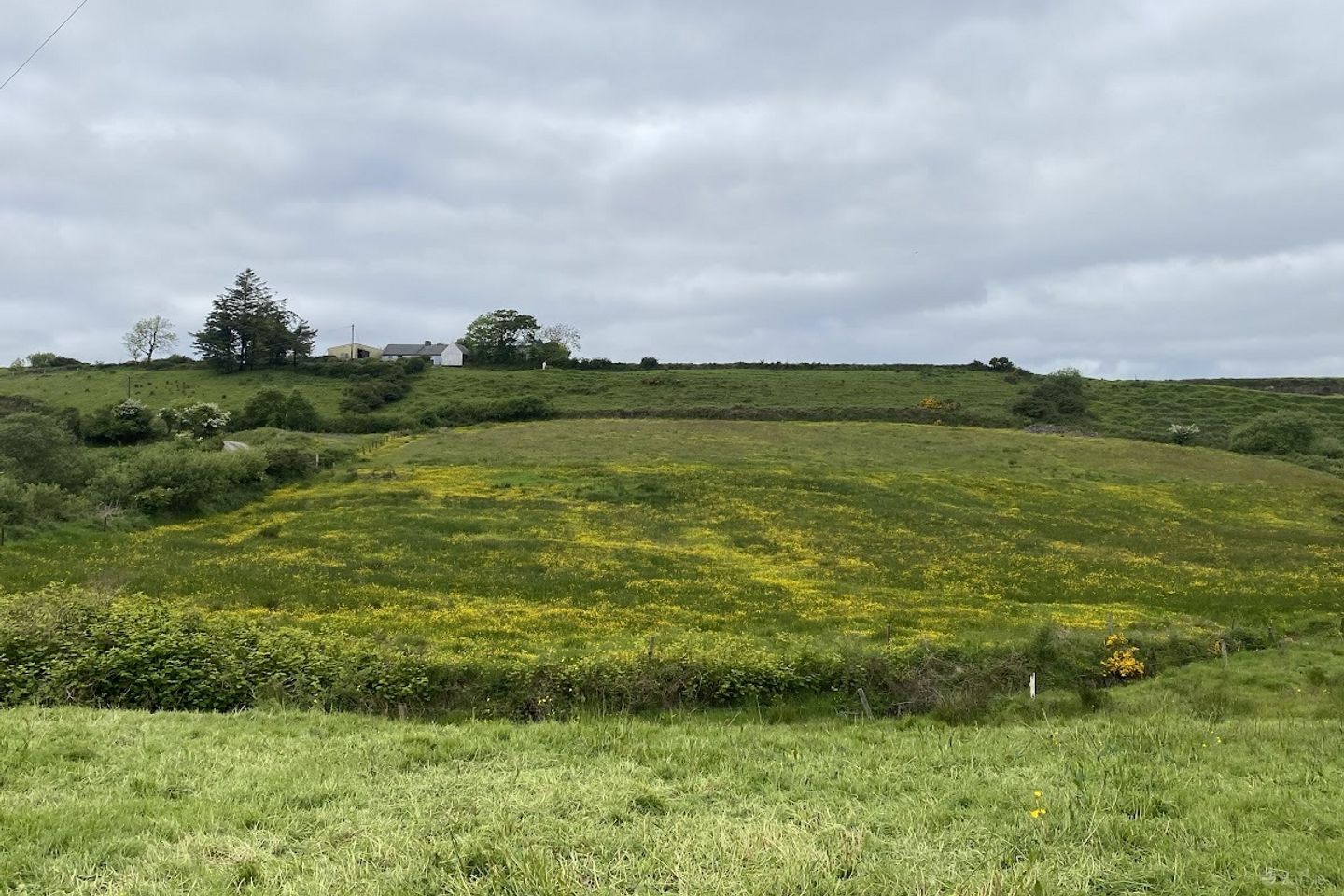 Dehomad, Lissycasey, Co. Clare