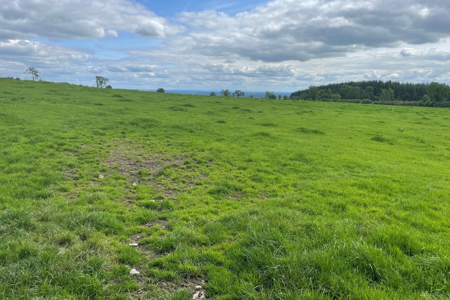 Crosserule, Ballyjamesduff, Co. Cavan