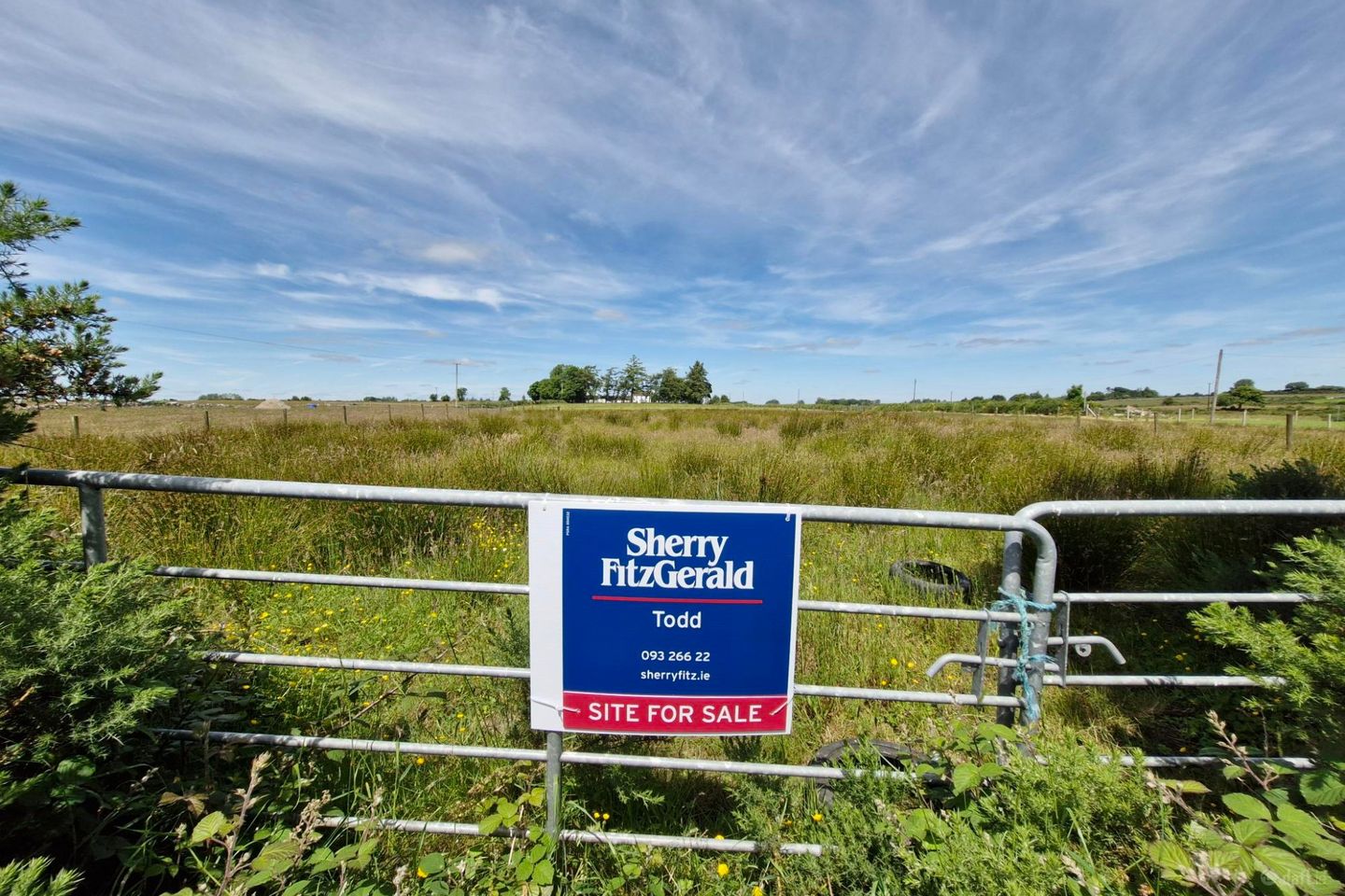 Brierfield Burke, Moylough, Ballinasloe, Co. Galway