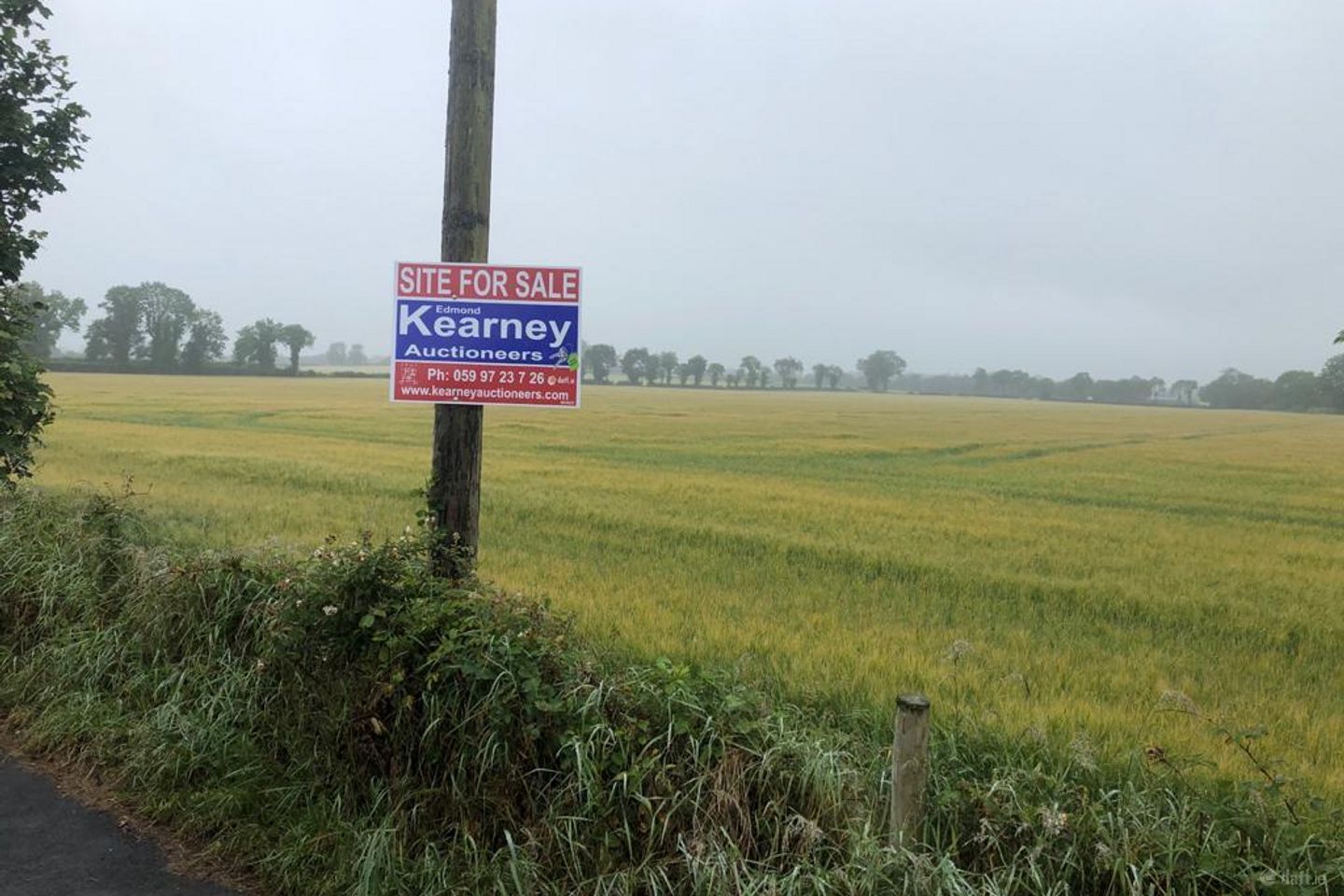 Kilconnor, Fenagh, Co. Carlow