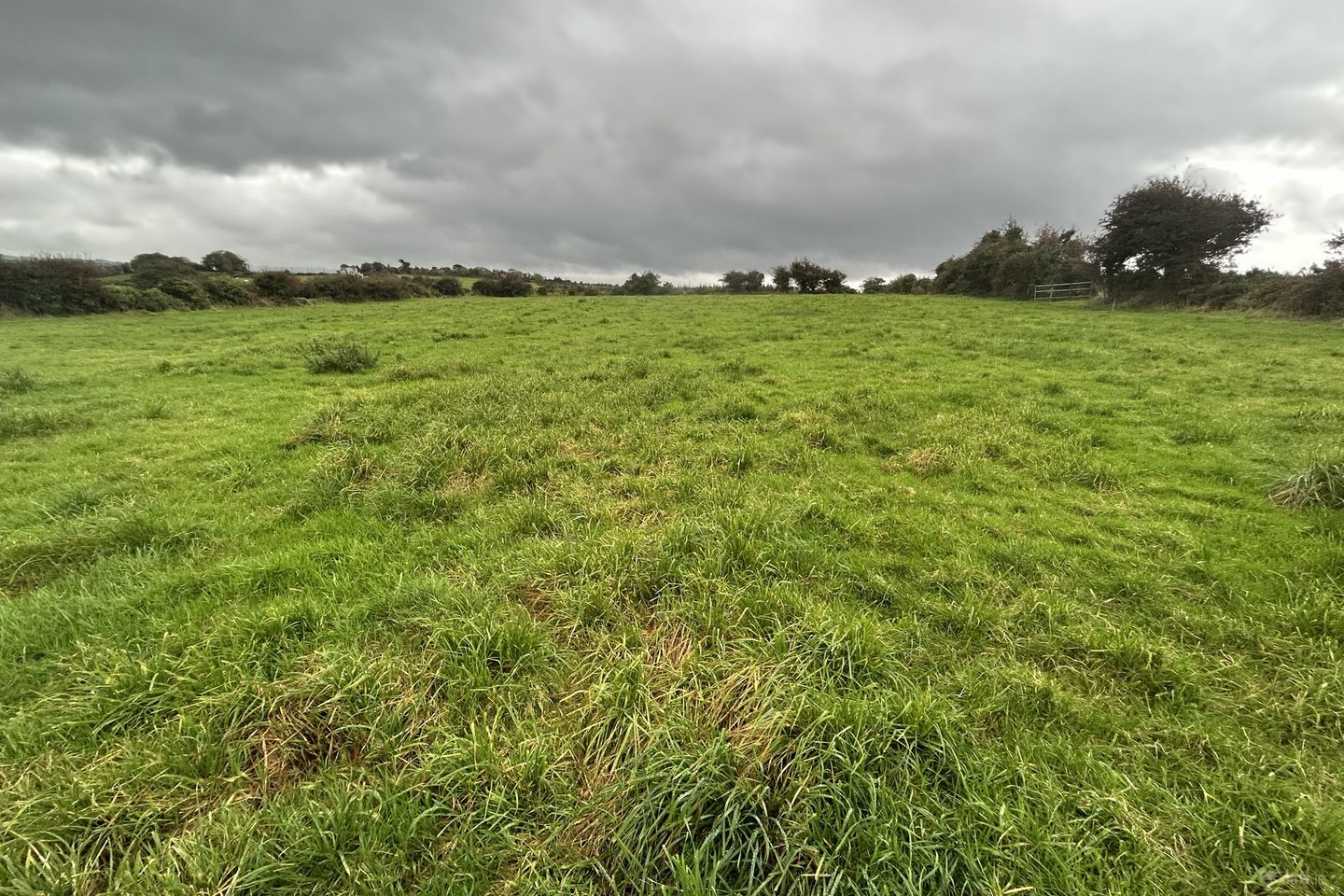 Ballyhar, Killarney, Co. Kerry