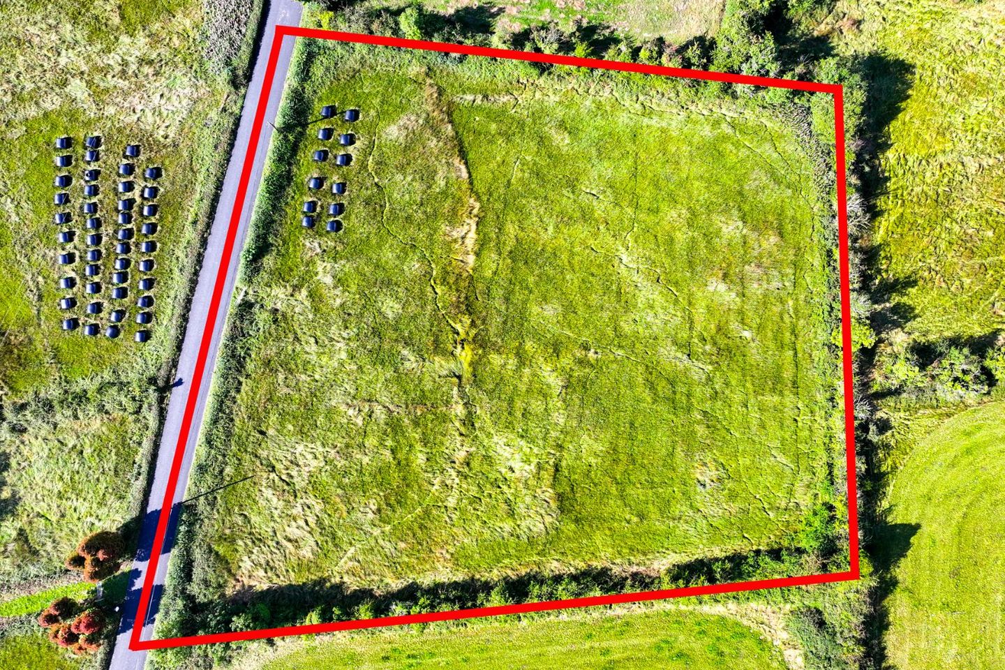 Cloncowley, Drumlish, Co. Longford