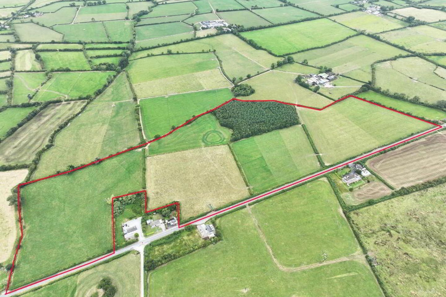 Cappanafaraha, Bruree, Co. Limerick