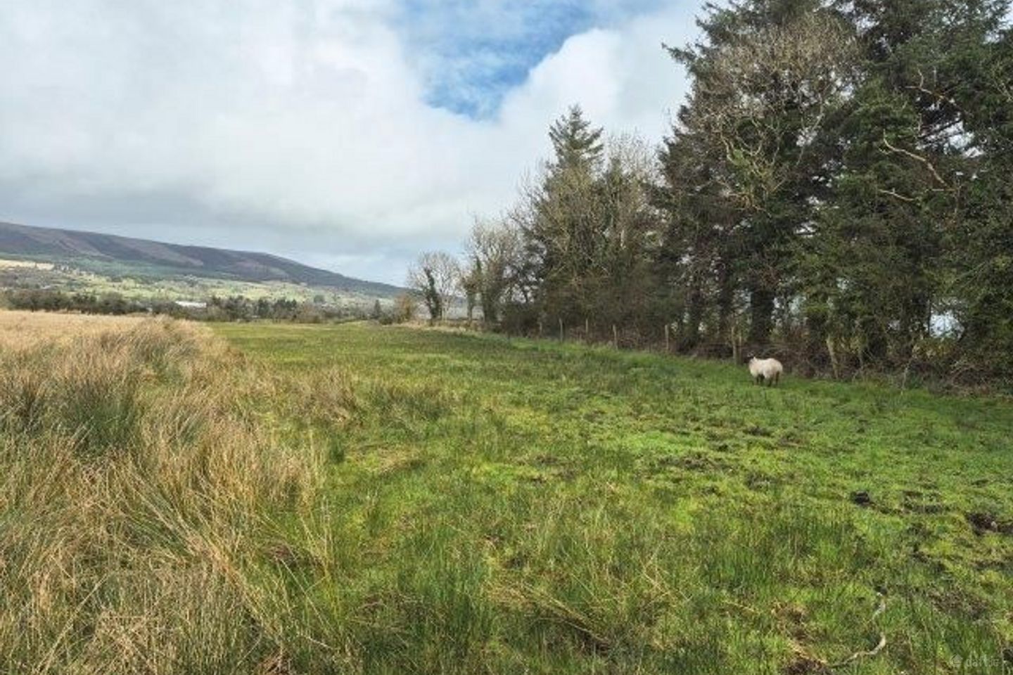 Donaghamore, Manorhamilton, Manorhamilton, Co. Leitrim