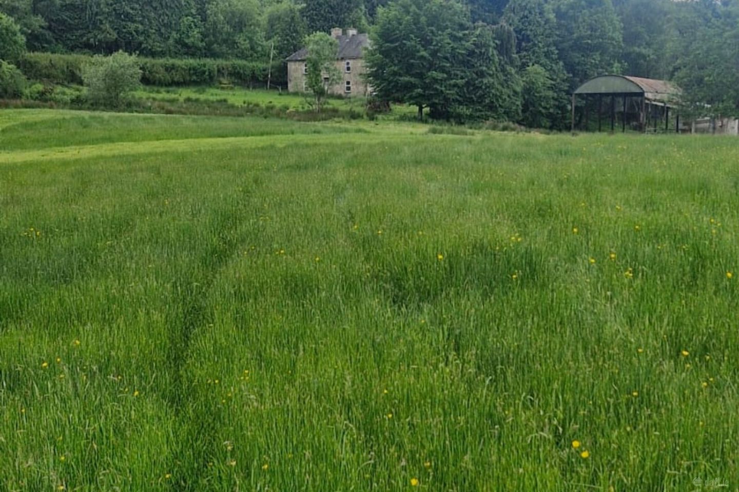 Leaghort House, Leaghort, Caher, Kilclaran, Co. Clare, V94F8EX