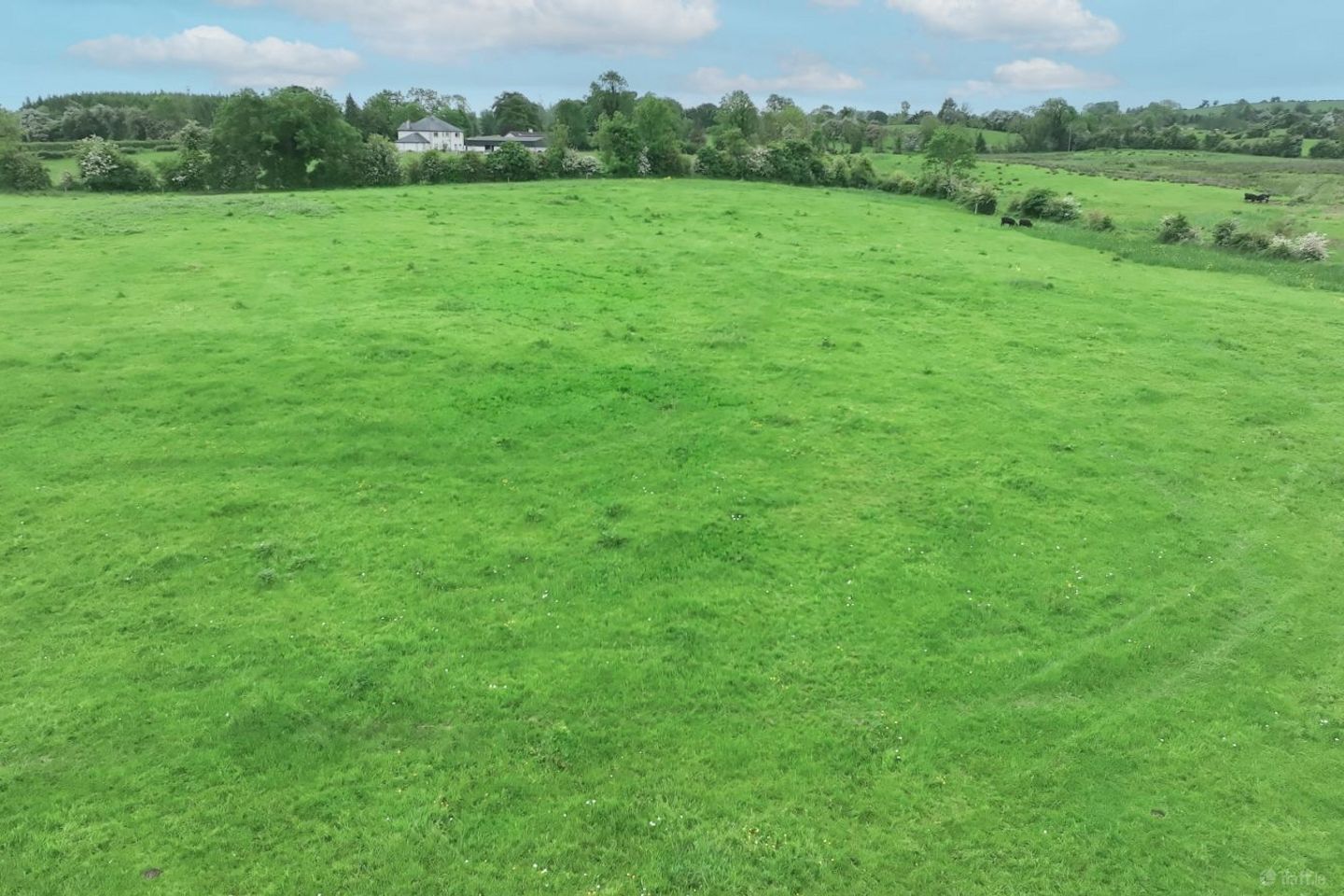 Carrickduff, Granard, Co. Longford