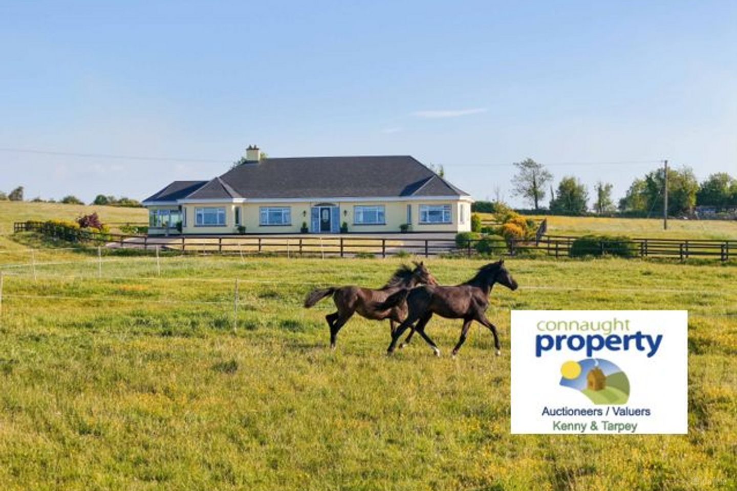 Doogary, Aghamore, Ballyhaunis, Co. Mayo, F35Y667