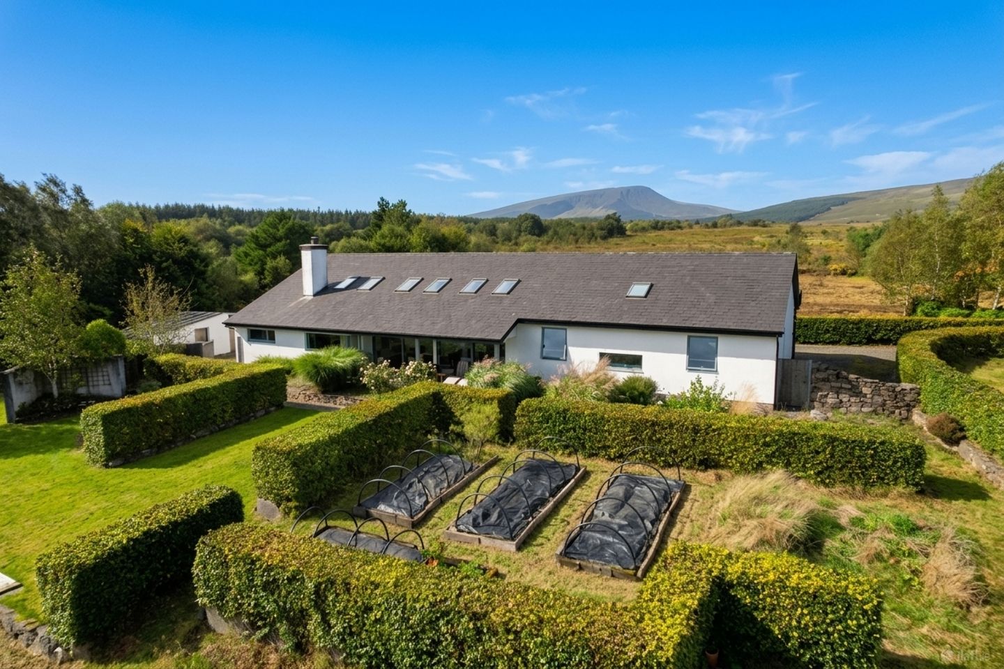 Glenhest, Newport, Co Mayo, F28Y240